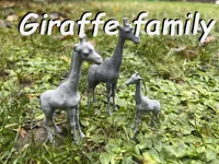Famille de girafes — photo 1