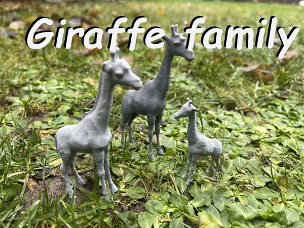 Famille de girafes
