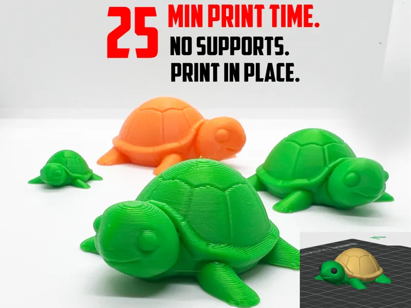 Mini turtle No Supports