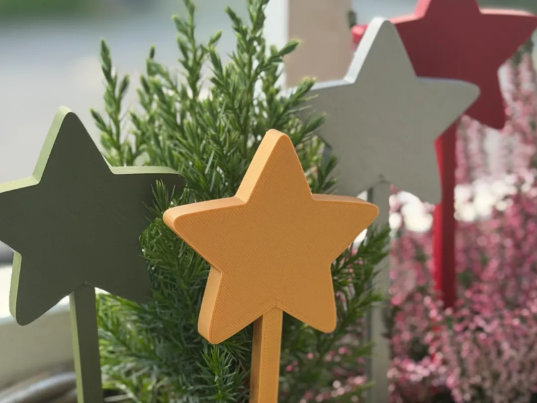 Étoile décorative sur pique