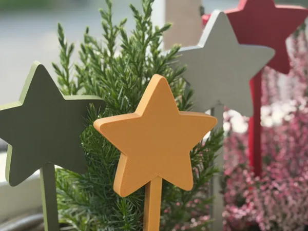 Étoile décorative sur pique
