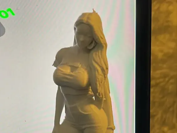 https://makerworld.bblmw.com/makerworld/model/USf2b5c1a2f59462/design/d649deefe11618a2.webp