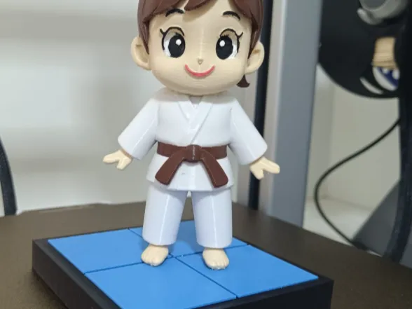Judo Girl