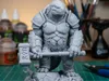 Size 65mm - 0.12mm layer, 3 walls, 20% infill