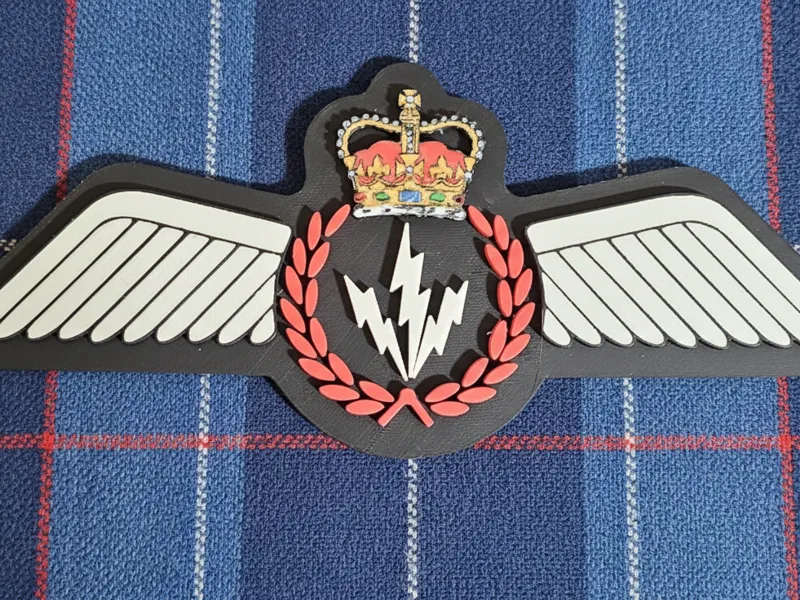 Canadian Armed Forces AESO Badge