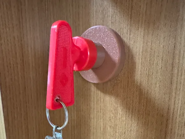 https://makerworld.bblmw.com/makerworld/model/USf2c22d3b40d3b9/design/2025-08-22_8379d785d4e3c.jpeg
