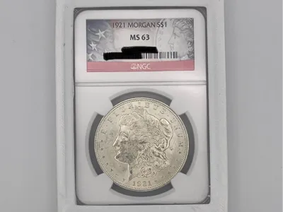 Ngc/Pcgs customizable case bumper
