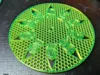 Single Model w/ hex pattern