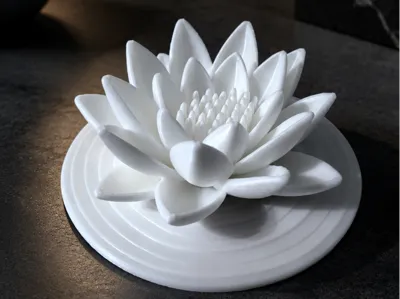 Water lily with a leaf decor