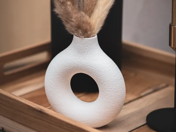 https://makerworld.bblmw.com/makerworld/model/USf2d04b556c369a/design/2025-06-25_e22d589677a228.jpeg