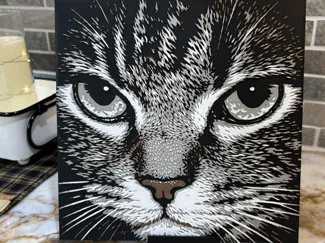 HueForge: Shadowed Feline Stare