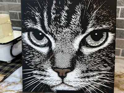 HueForge: Shadowed Feline Stare