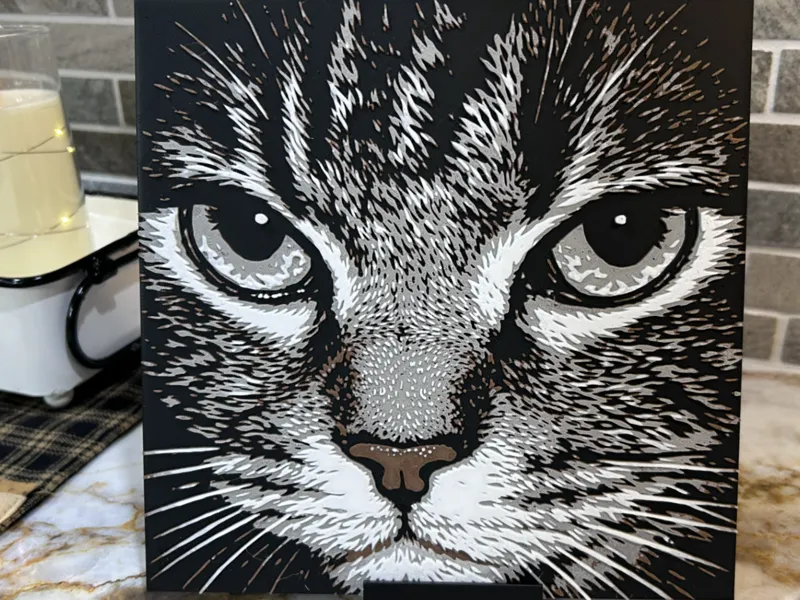 HueForge: Shadowed Feline Stare