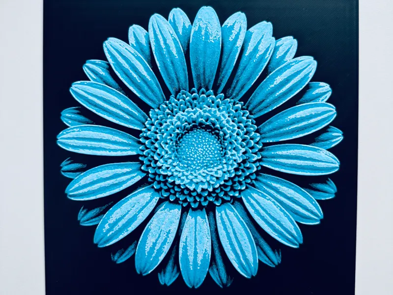 Gerbera HueForge