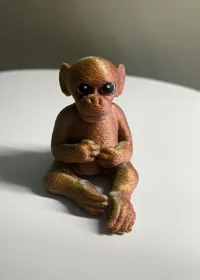 Bébé singe — photo 2
