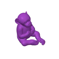 Bébé singe — photo 5