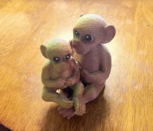 Bébé singe