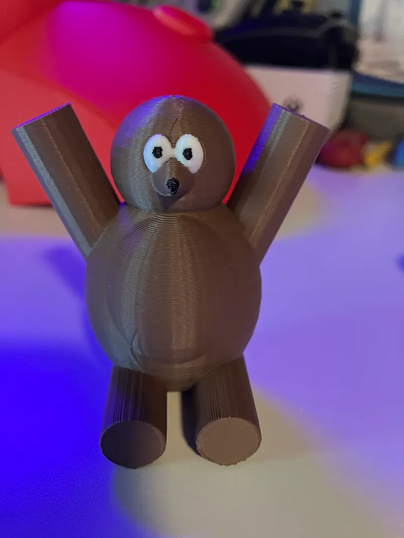cute bear multicolor