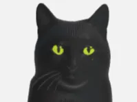 black cat