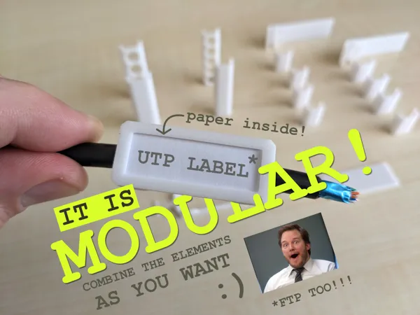 https://makerworld.bblmw.com/makerworld/model/USf2d93785a811e/design/2025-01-31_3d9404d3bb84a.png