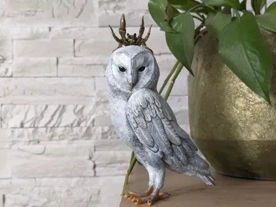 KING GUARDIAN
