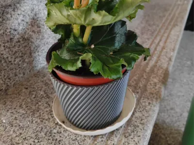 Spiral Pattern Pot Set