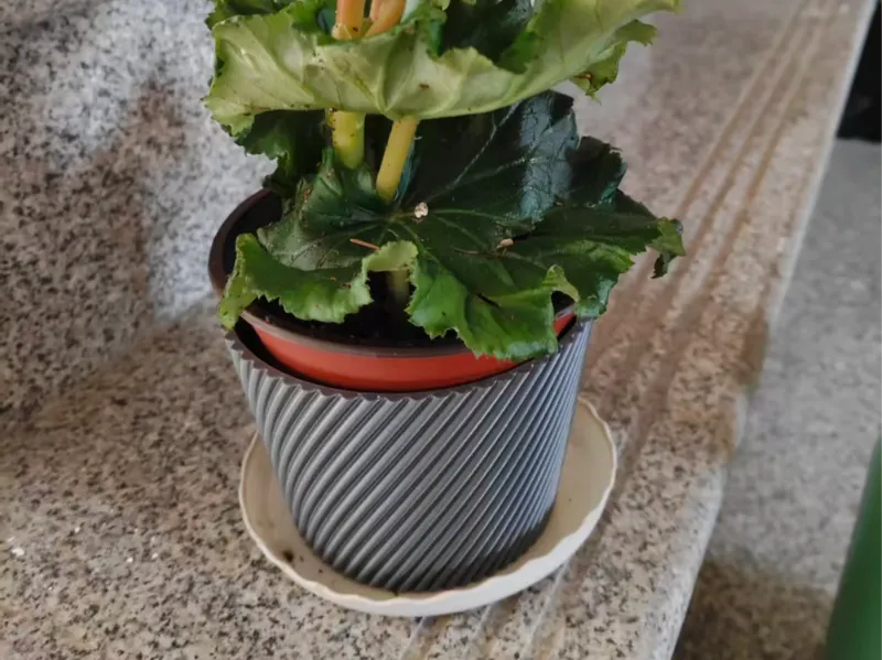 螺旋花纹花盆套装