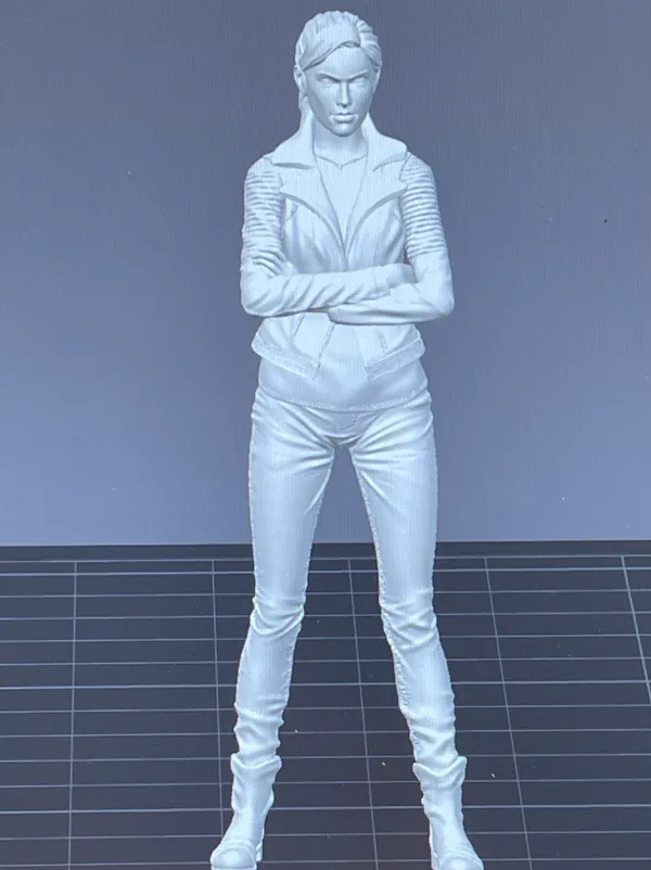 https://makerworld.bblmw.com/makerworld/model/USf2df7da8b30f4e/design/2024-08-08_397cda2bf6331.jpeg