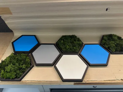Hexwall 2.0 Hexagon Wall Moss Moos