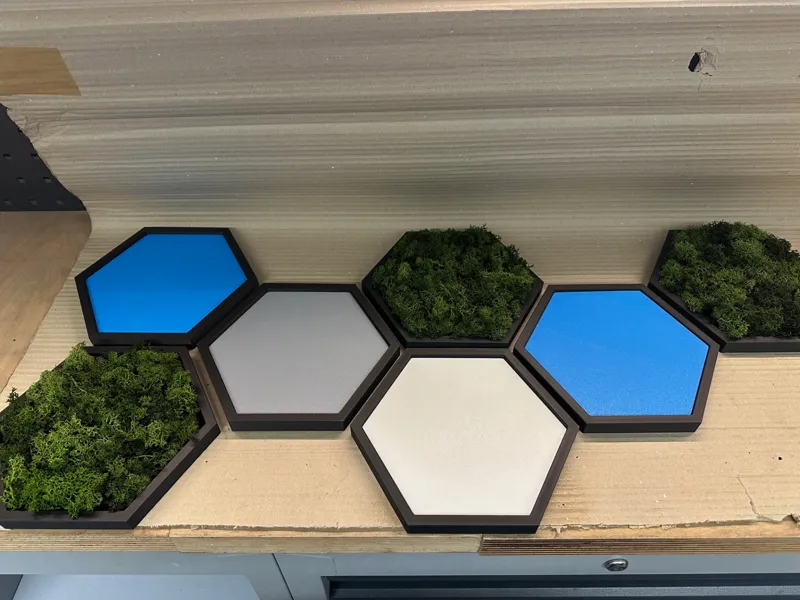Hexwall 2.0 Hexagon Wall Moss Moos