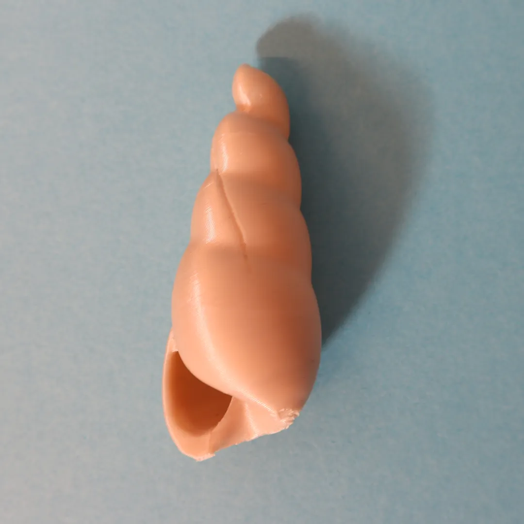 Shell and Shell Keychain view 4