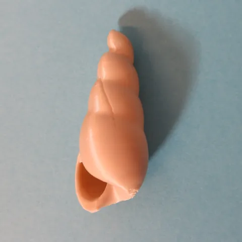 Shell and Shell Keychain view 4