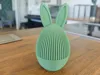 Normal Ears | Clean Base