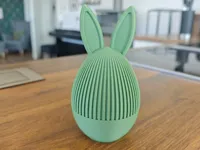 Normal Ears | Clean Base