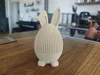Floppy Ear | Feet and Tail