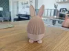 Normal Ears | Feet & Tail