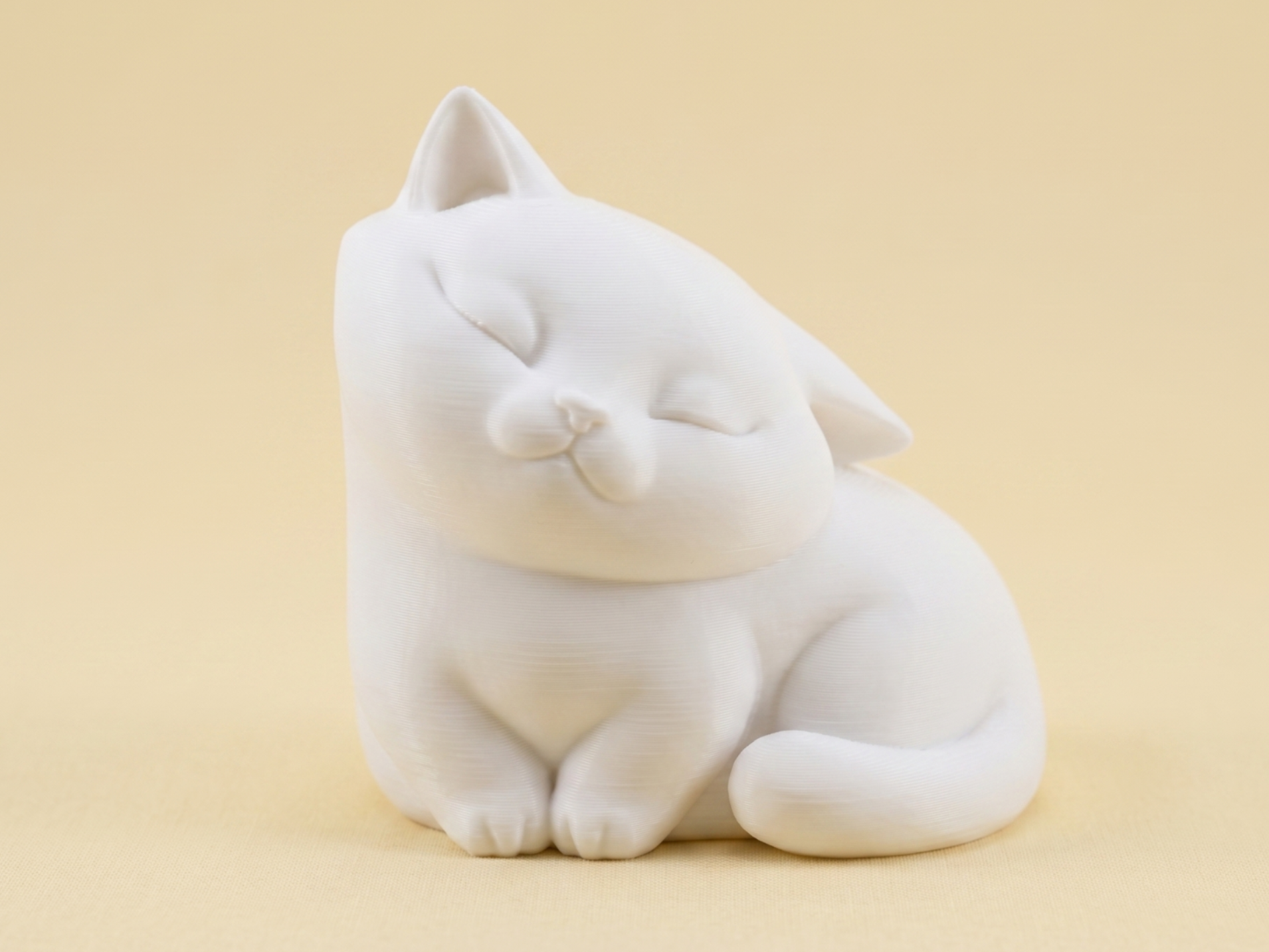 Chubby Corner Cat