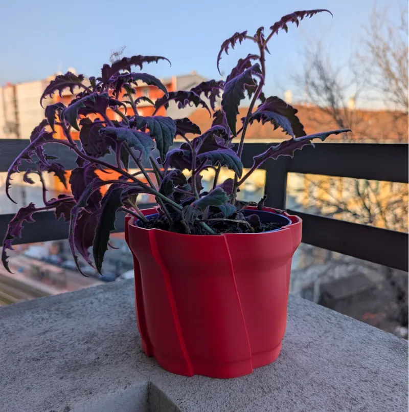 Simple pot - A1 mini