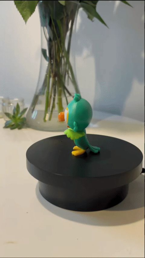 Little Bird with Star eye