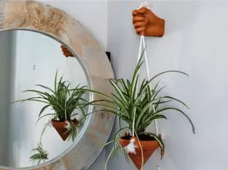 Wall Hand Pot