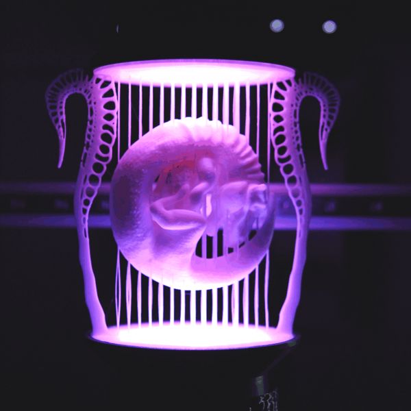 https://makerworld.bblmw.com/makerworld/model/USf30ff0199f48e0/design/2025-07-17_8e83c674dc20d.gif