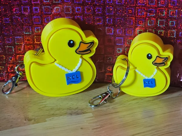 https://makerworld.bblmw.com/makerworld/model/USf31350f1501ad7/design/2025-11-02_b9e163fe01616.jpg