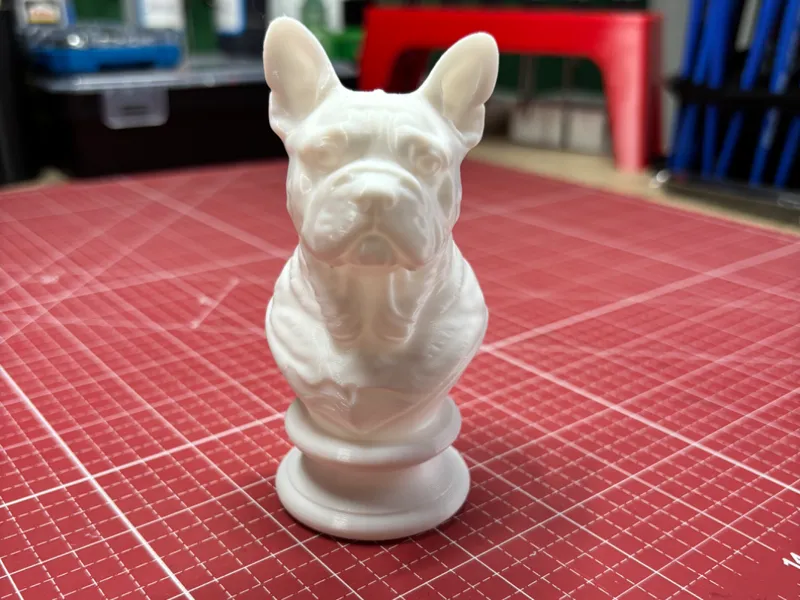Französische Bulldogge Büste
