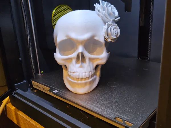 https://makerworld.bblmw.com/makerworld/model/USf327216130527a/design/2025-04-03_6080d19b9dbdf.jpg