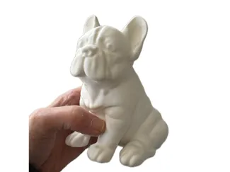 Muffin the French Bulldog