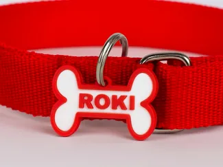 Dog Tag Bone