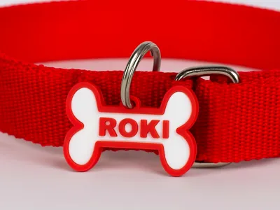 Dog Tag Bone