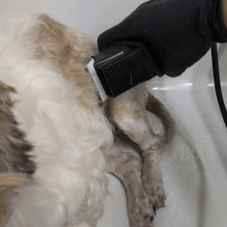 Andis AG2 Clipper Vacuum Attachment