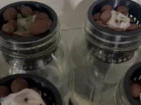 Paniers hydroponiques pour bocal Ball Mason Jar — photo 2