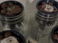 Ball Mason Jar - Hydroponic Net Cups